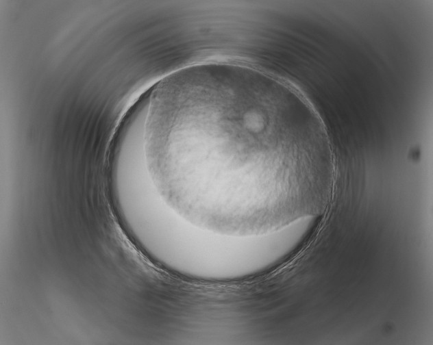 X0000115200972200912091130