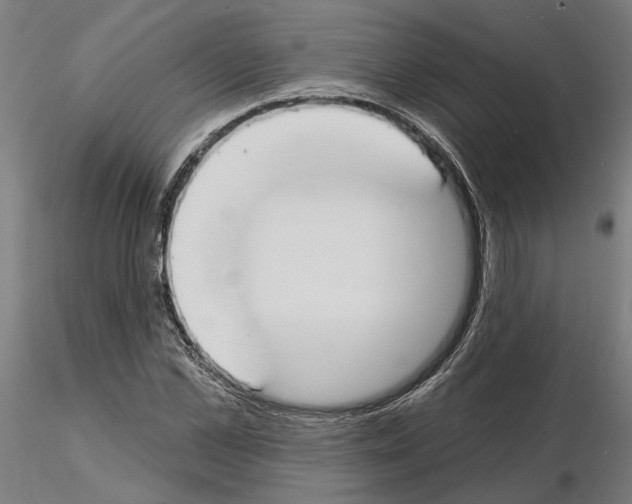 X0000115200973200912091130