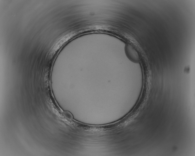 X0000115200977200912091130