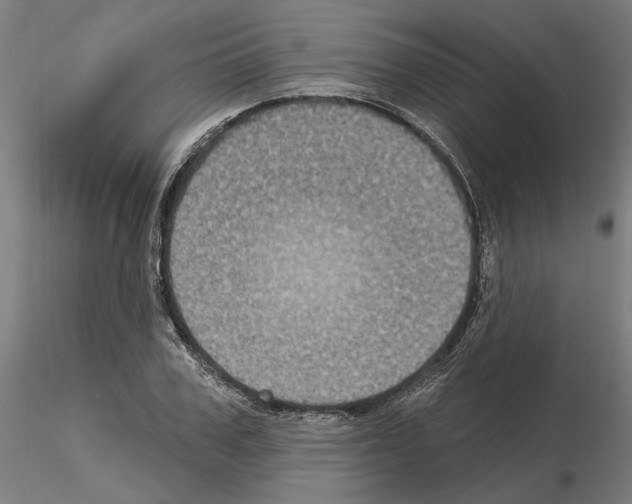 X0000115200979200912091130