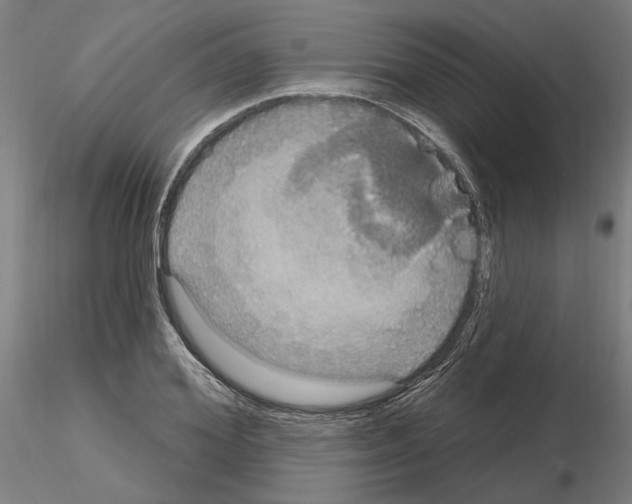 X0000115200980200912091130