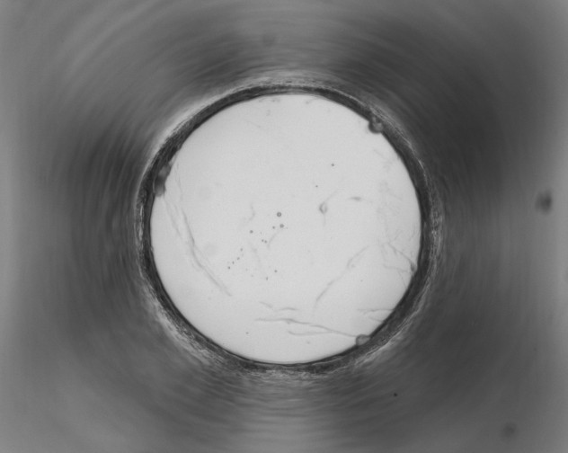 X0000115200981200912091130