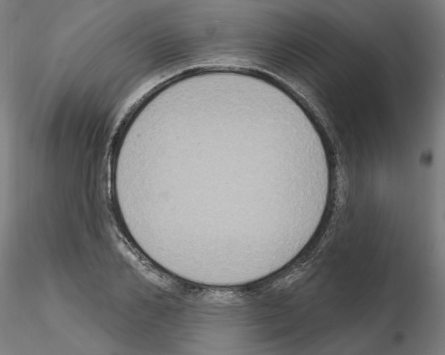 X0000115200982200912091130