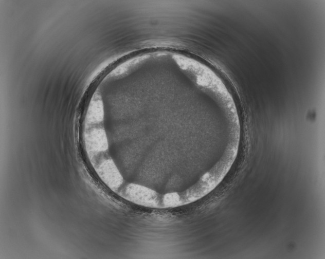 X0000115200983200912091130