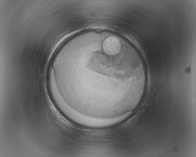 X0000115200984200912091130