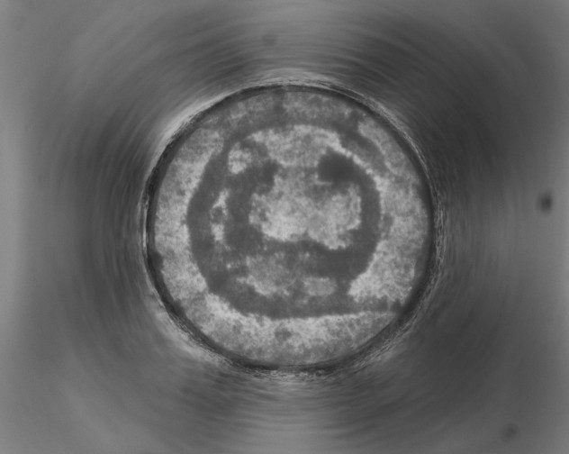 X0000115200987200912091130