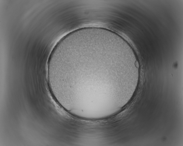 X0000115200988200912091130