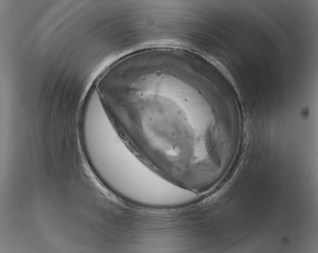 X0000115200989200912091130