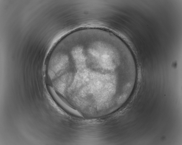 X0000115200990200912091130