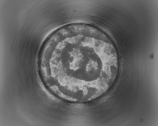 X0000115200991200912091130