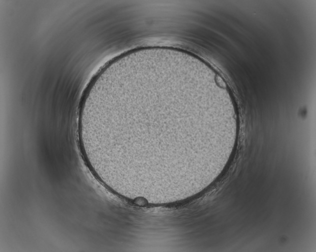 X0000115200992200912091130