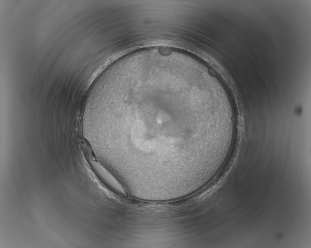 X0000115200993200912091130