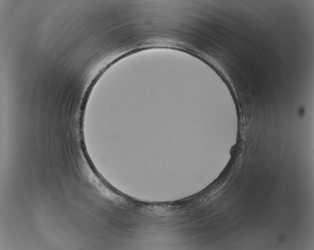 X0000115200995200912091130