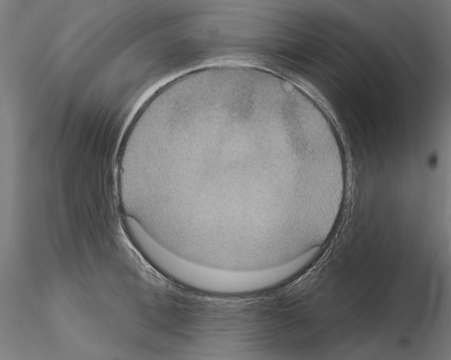 X0000115200996200912091130