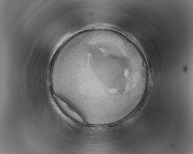 X0000115200997200912091130