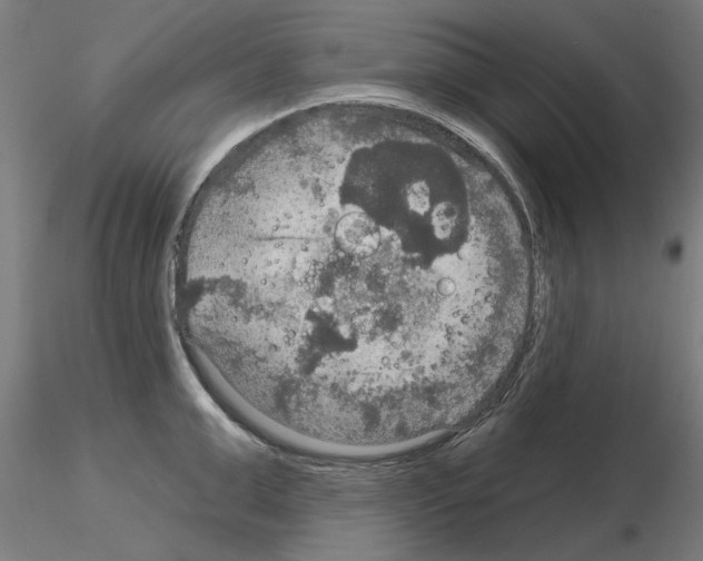 X0000115200999200912091130