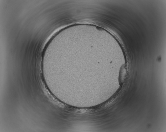 X0000115201000200912091130