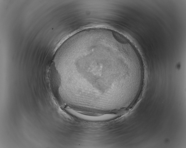 X0000115201001200912091130