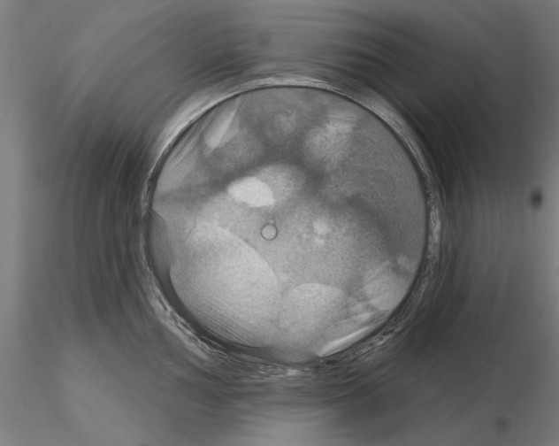 X0000115201002200912091130