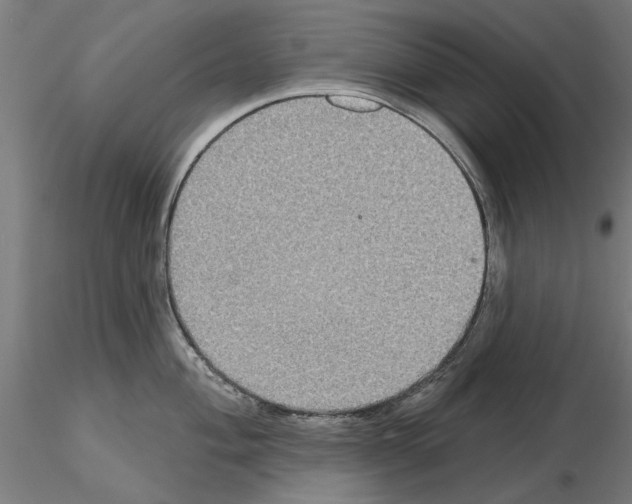 X0000115201004200912091130