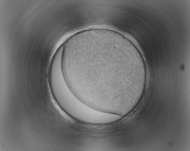 X0000115201005200912091130