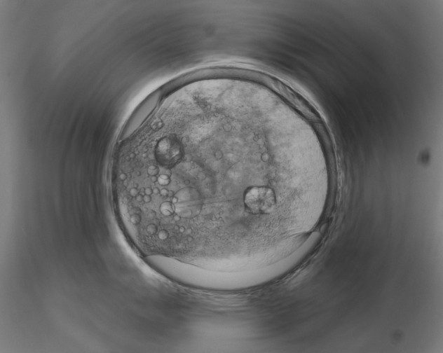 X0000115201007200912091130