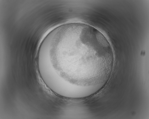 X0000115201008200912091130