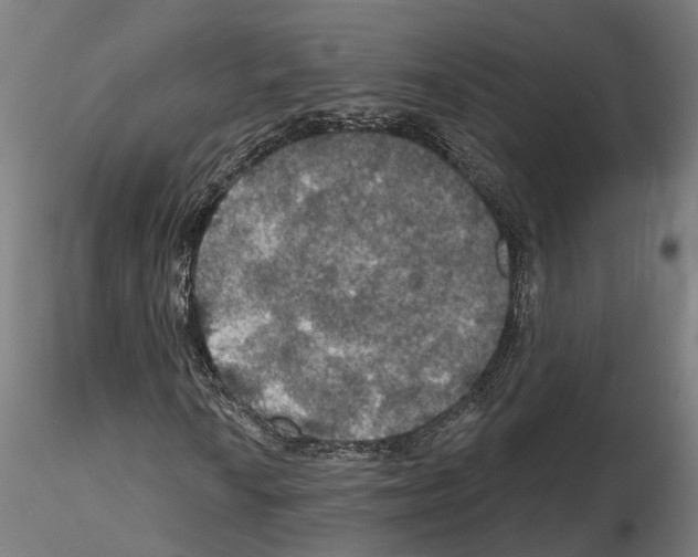 X0000115201010200912091129