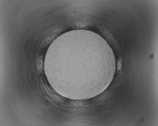 X0000115201011200912091129