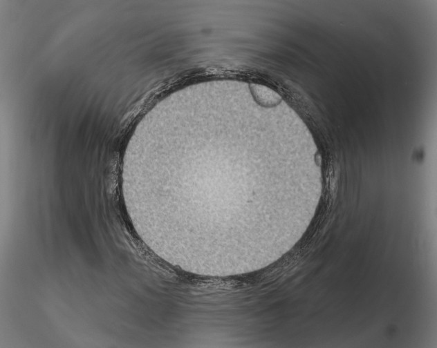 X0000115201012200912091129