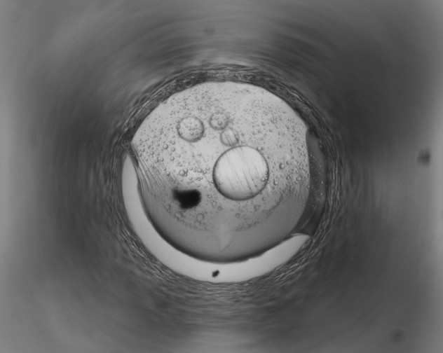 X0000115201013200912091129