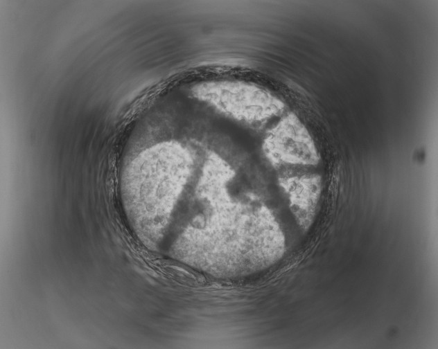 X0000115201014200912091129