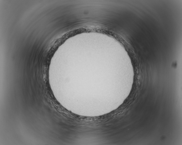 X0000115201016200912091129