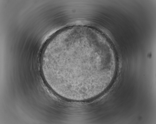 X0000115201018200912091129