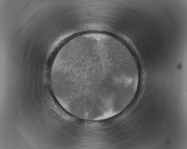 X0000115201019200912091129