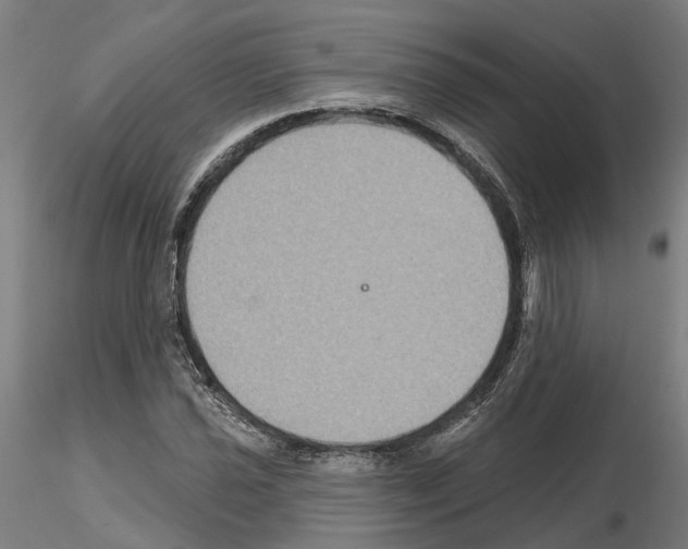 X0000115201021200912091129