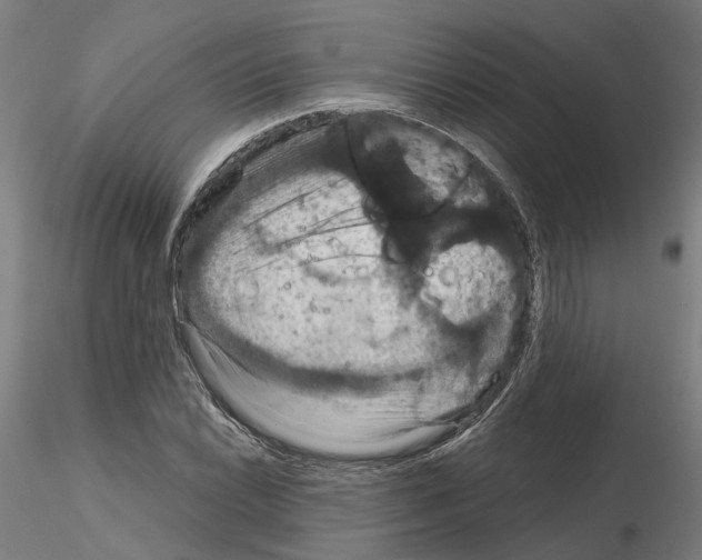 X0000115201022200912091129