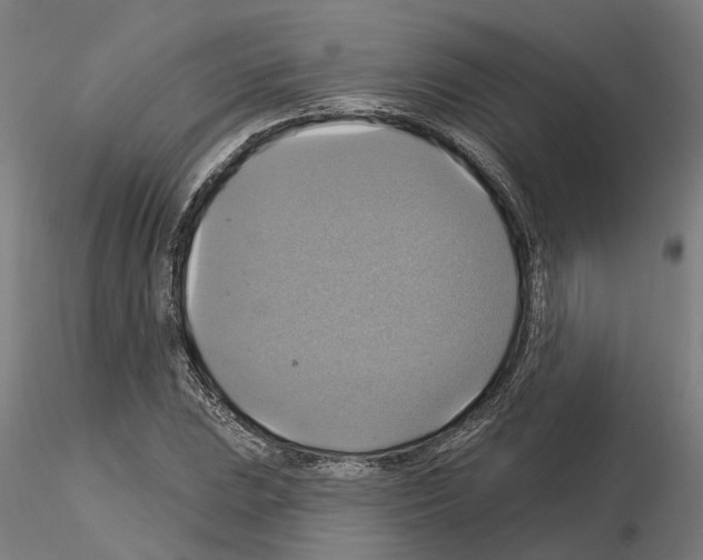 X0000115201023200912091129