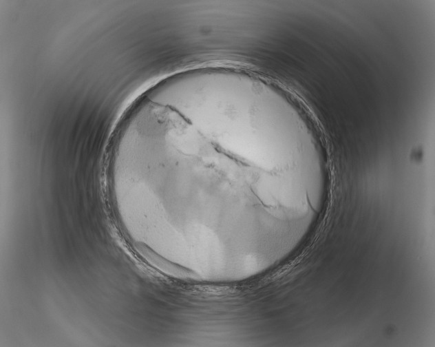 X0000115201024200912091129