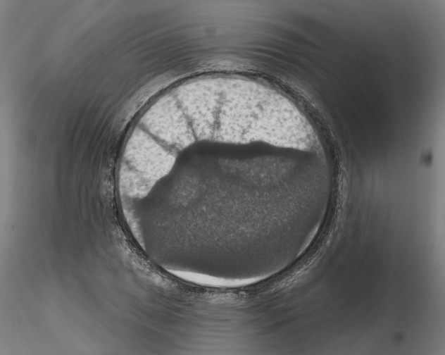 X0000115201025200912091129