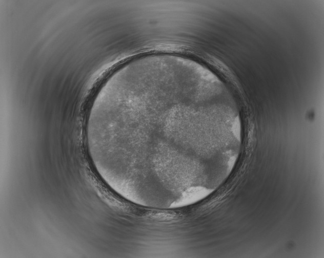 X0000115201027200912091129