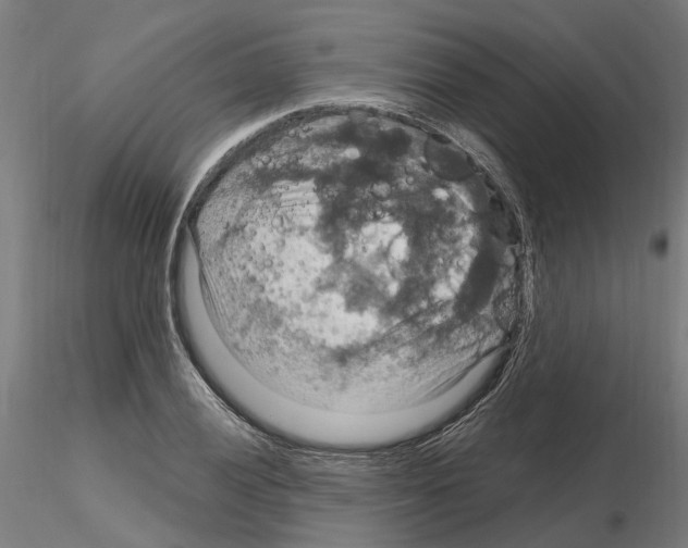 X0000115201028200912091129