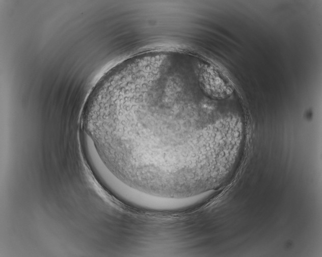 X0000115201034200912091129