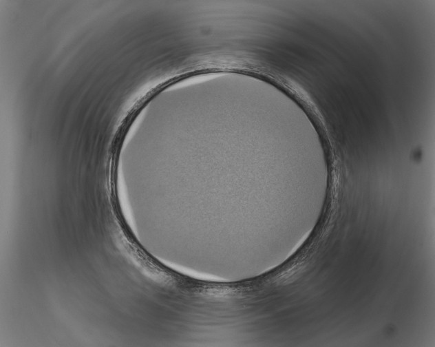 X0000115201035200912091129