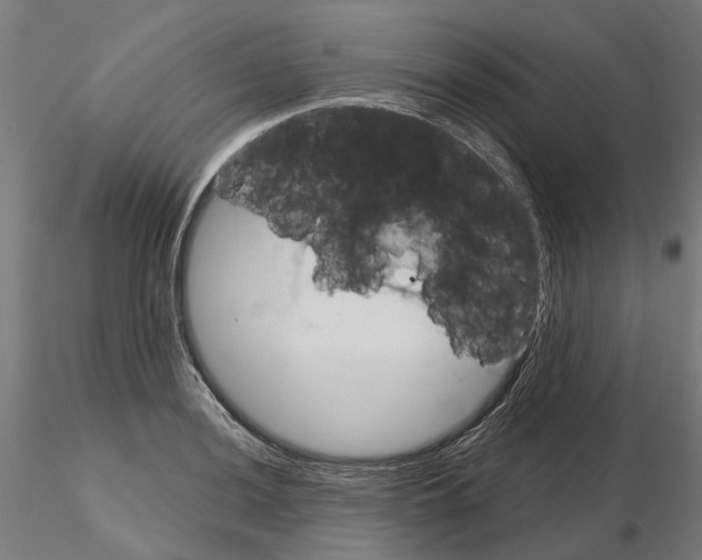 X0000115201036200912091129