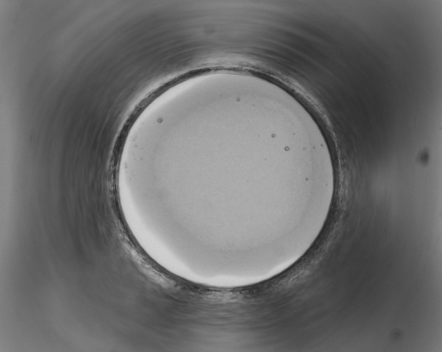 X0000115201037200912091129