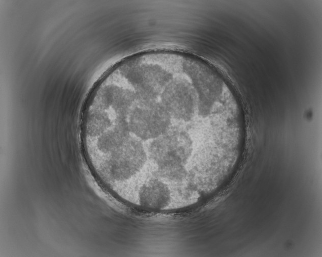 X0000115201038200912091129