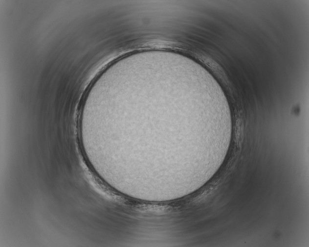 X0000115201039200912091129