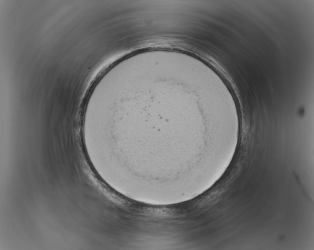 X0000115201045200912091130