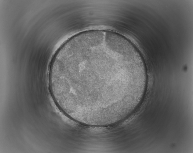 X0000115201046200912091130